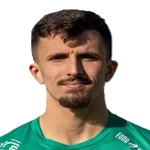 aldin-nedzibovic