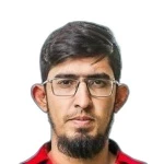 Mirza Mamoon