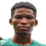 usman-ajibola-owoyemi