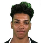 illan-sa-ribeiro-da-silva