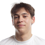 vladimir-gavaza
