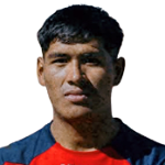 Victor Hugo Mamani