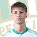 patrik-lerant