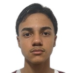 Pedro Henrique Gomes Martins