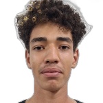 Vitor Rodrigues Araújo