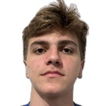 Felipe Emanuel Klitzke Costenaro