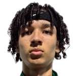 Pedro Victor Lopes dos Santos