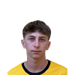 Michele Saccani