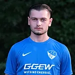 Gerrit Wiemer