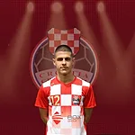 Branimir Zivic