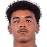 Theo Diallo