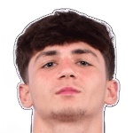 Ergi Deliallisi