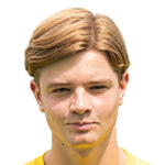 Teun van Remortel