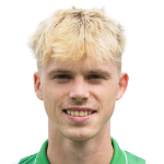 Joël van Herwijnen