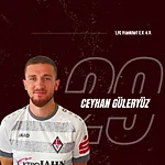 Ceyhan Güleryüz