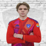 Edvin Erdfeldt