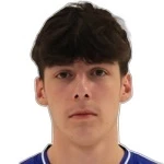 Niko Petrović