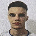 elmir-dzinic
