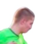 hugo-landau-bergendahl