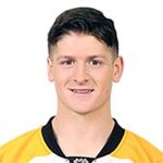 krug-torey