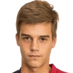 andrea-castelletti