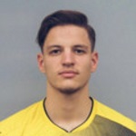 armin-pjetrovic