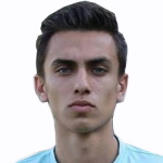 Sina Zamehran