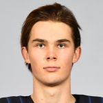 nikkanen-henri