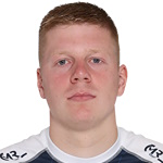 versteijnen-niels-gerardus
