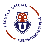 CFyP U De Chile Zona Sur A - U13