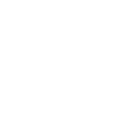 Altan Punar