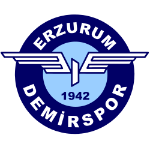 Erzurum Demirspor