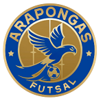 Arapongas Futsal U20