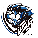 Ritec Balonmano Aguilas