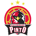 Grupo Egido Balonmano Pinto