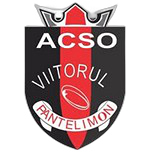 ACSO Viitorul Pantelimon J2
