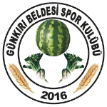 Günkırı Beldesispor