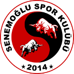 Senemoğluspor
