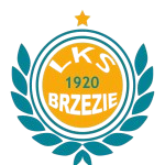 LKS Brzezie Racibórz