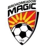 Broadmeadow Magic Reserves