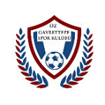 Öz Gayrettepe
