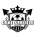 crne-strijele