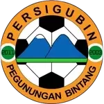 Persigubin Pegunungan Bintang