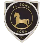 FC Soho