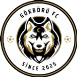 Gökbörü FC