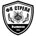 FC Strela 2003 Valkosel