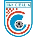 HNK Cibalia U11