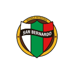 Palestino San Bernardo