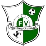 FV Mümling-Grumbach II