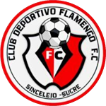 Flamengo FC Academia